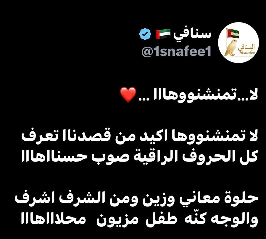 صندوق السنافي