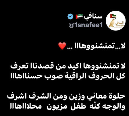 صندوق السنافي